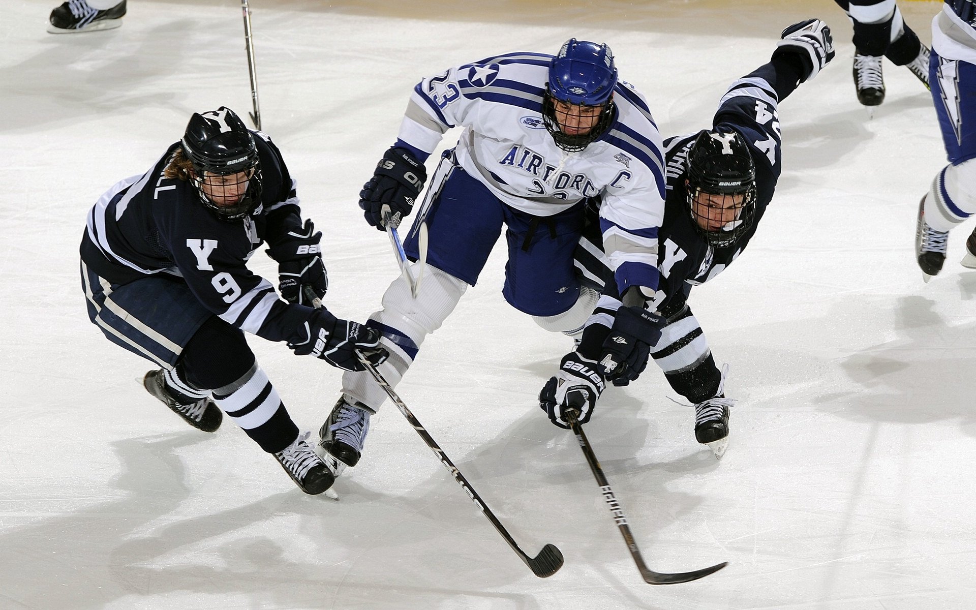 “翼装飞行模拟VR训练赛” 在虚拟峡谷中飞行比拼路线